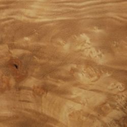 myrtle burl veneer