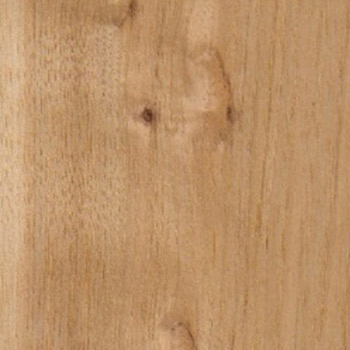pecky pecan veneer