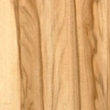 Sap gum wood veneer