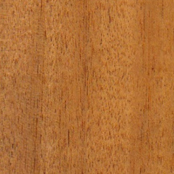 jequetiba wood  veneer